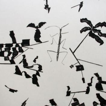 Phasme, pointe de diamant sur plexiglas.