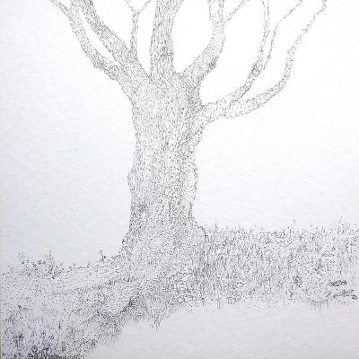 Arbre, encre sur papier aquarelle, 30X30cm, 2024 - collection privée