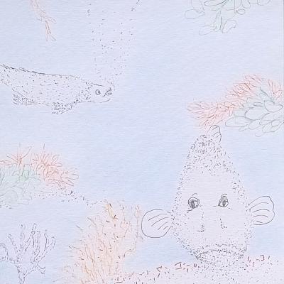 Mérou 1, feutres et crayons de couleurs, 20x20cm, 2026