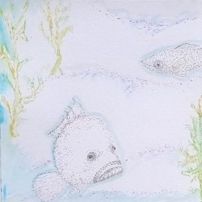 Mérou 2, feutres et crayons de couleurs, 20x20cm, 2026